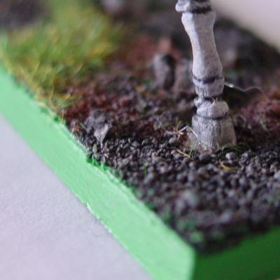 Gras