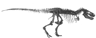 Tyranosaur sketch