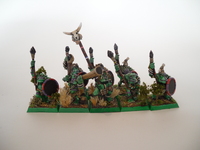 Savage orcs from the front